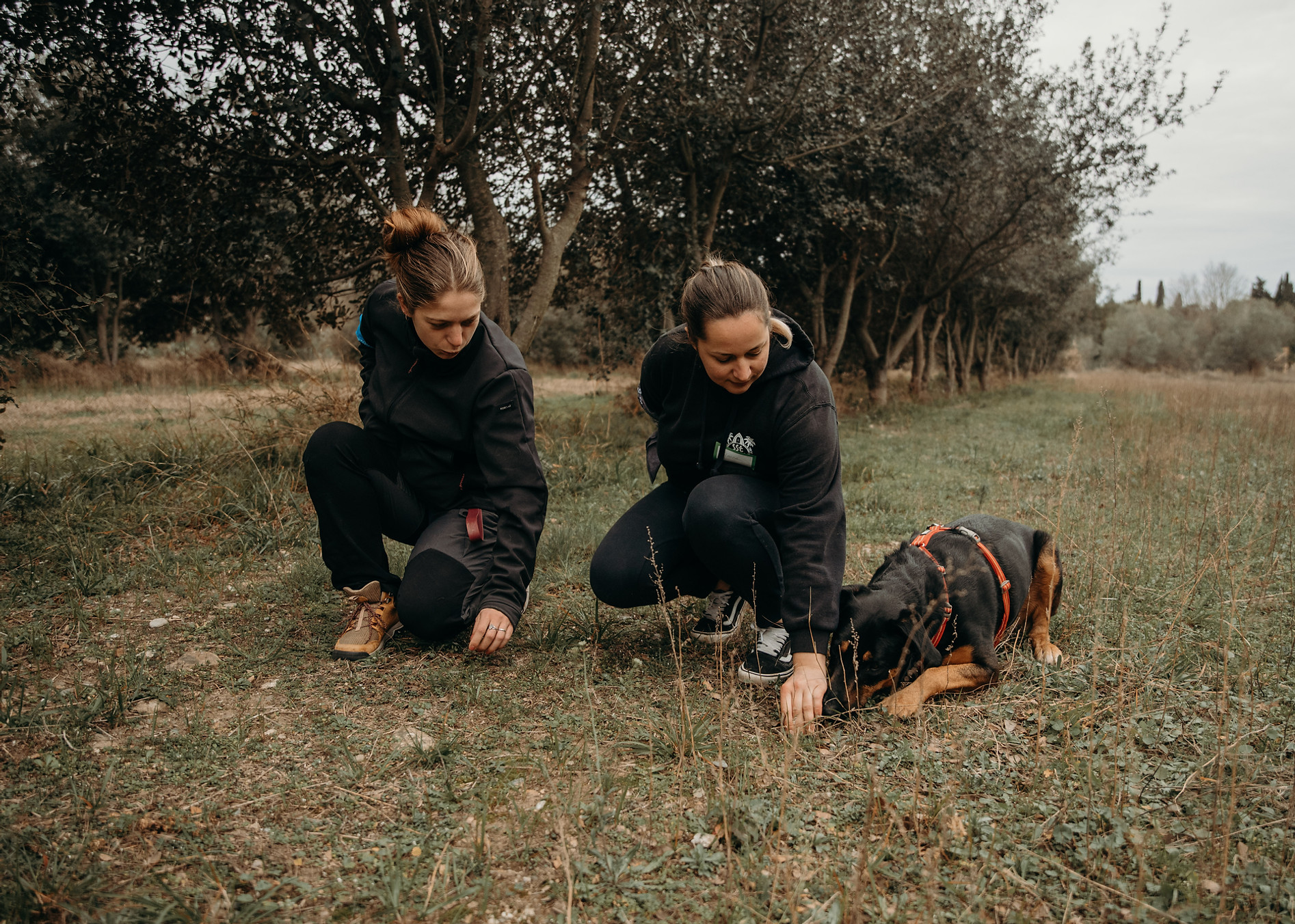 Deux professionnelles observent un chien lors d’un travail de terrain CynoPsy.